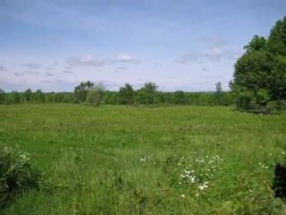 Homes for Sale - Lt4  Birchwood Ln - Mequon, WI 53097 - Cold