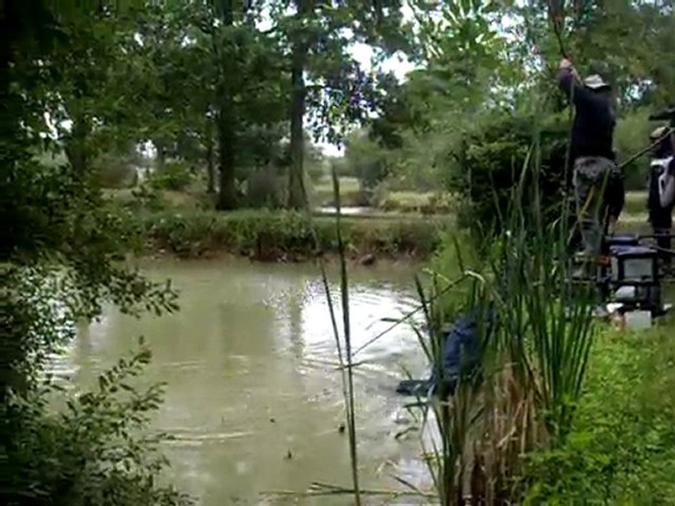 Casse sur une grosse carpe au coup - Etangs de Romainville