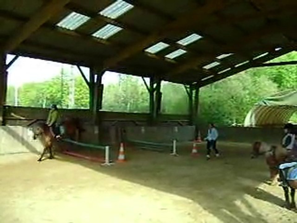 chevaux cyclone est moi