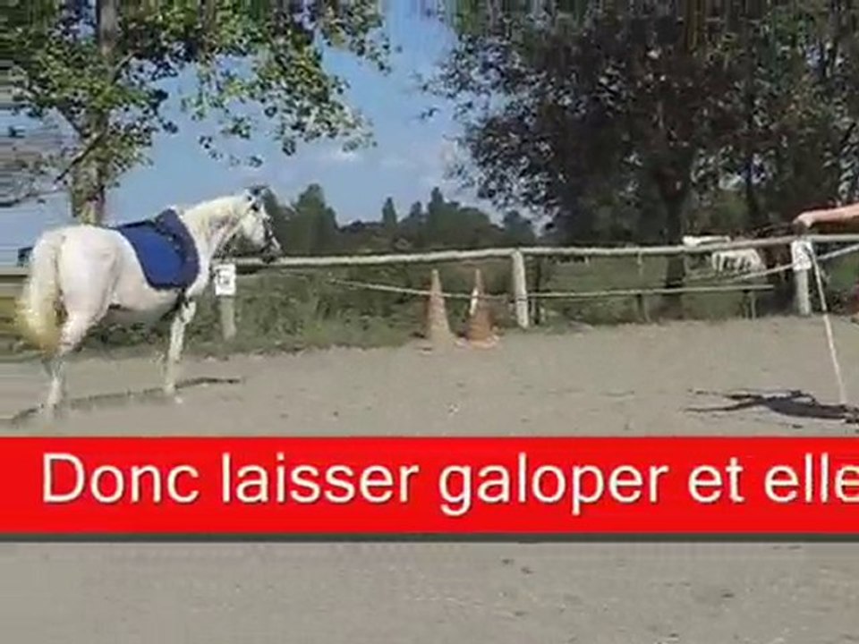 TRAVAIL A LA LONGE AVEC LUCIE PIERRE douchka 20 aout 2010