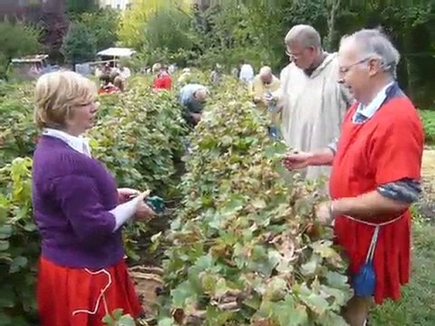 Vendanges romaines chez Pierre FACON à Neuilly Plaisance