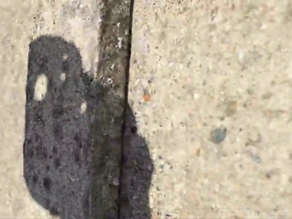 fuck buttons - UNOFFICIAL HD CLIP