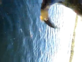 DOGAN-FIKRET BALIK AVI 02.10.2010 006