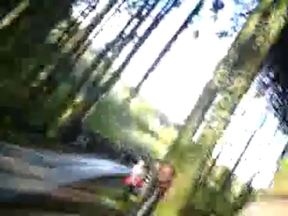 Rally de France wrc 10