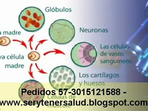 StemEnhance en Colombia Promotor Celulas Madre adultas