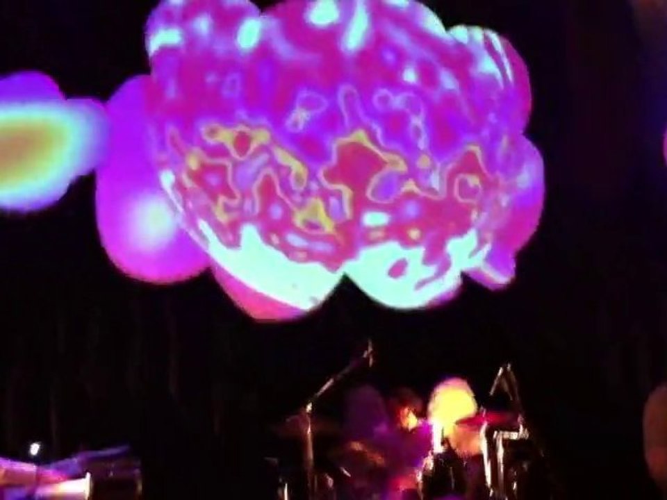 Monsieur Koala - Attention