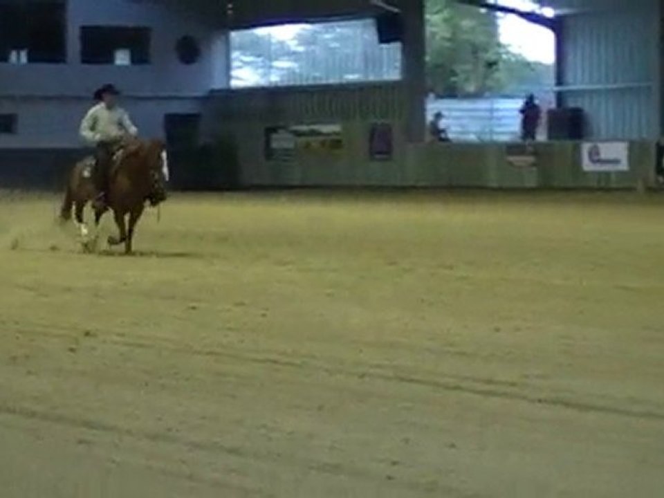 championat reining 2010, au ptit far west(77)