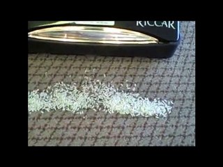 Which vacuum is better?  Dyson or Riccar?