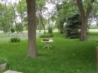 Homes for Sale - 16784 Artesian Ave - Hazel Crest, IL 60429