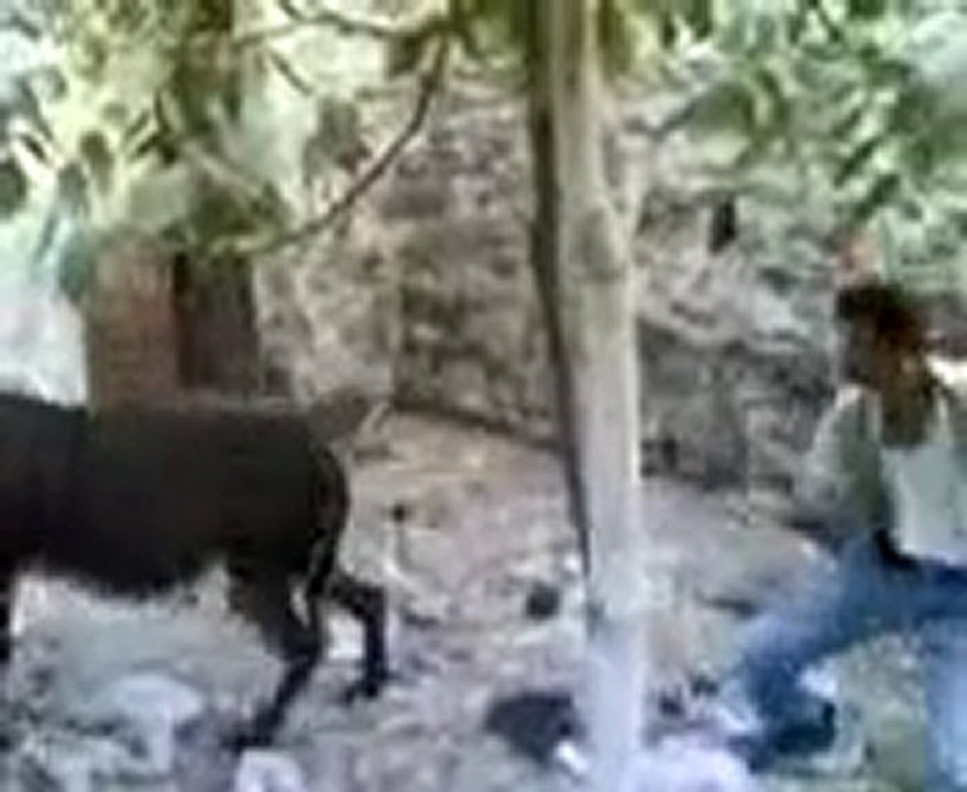 chetih aghyol lamod alnif