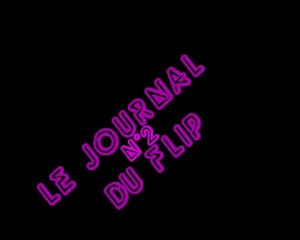 Le journal du flip n°2
