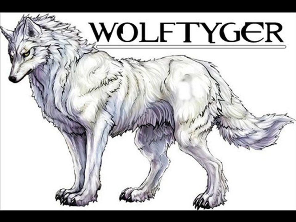 Romain Wolftyger - I love Wolftyger