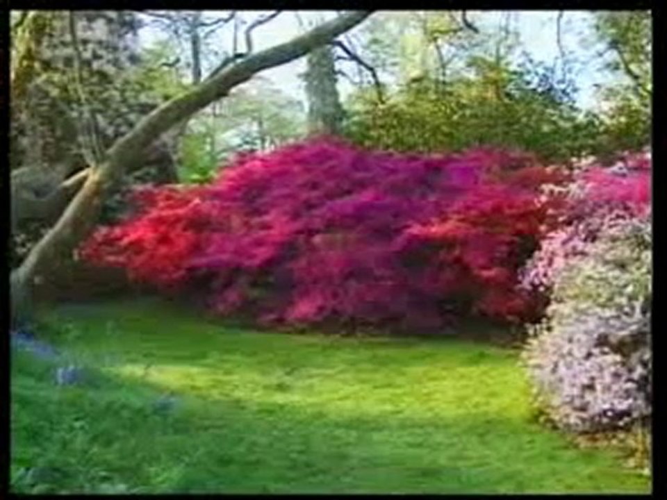 Peygamberimiz (sav)'e itaat eden Allah'a itaat etmiş olur