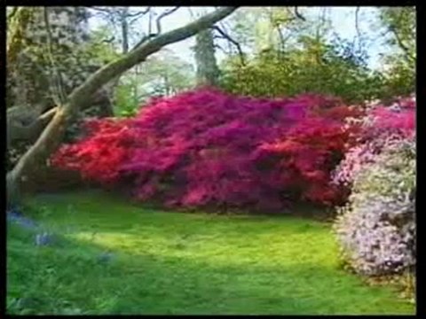 Peygamberimiz (sav)'e itaat eden Allah'a itaat etmiş olur