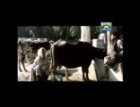 Majajan New Pakistani  Punjabi Movie HQ PART 4