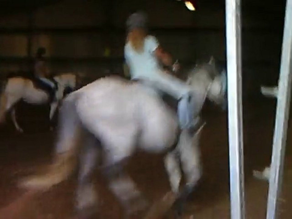 galop sur oggar 11-09-2010