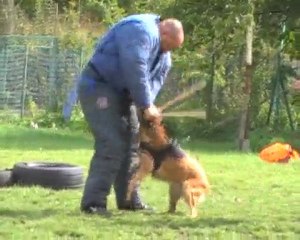 Dréna du Dragon Rouge de Jupiter le 30/09/2010