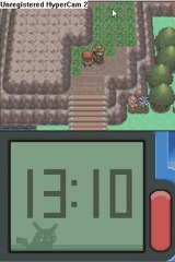 Pokémon diamant (9) la traversé dans la foret vestigion