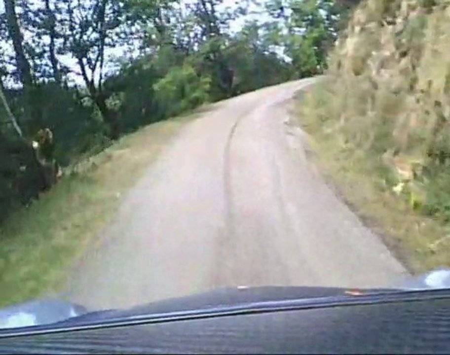 Panagiotis Porsche Rallye mauves plats 2010