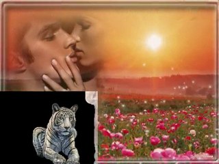 LEHOZNÁM NÉKED A CSILLAGOT IS AZ ÉGRŐL