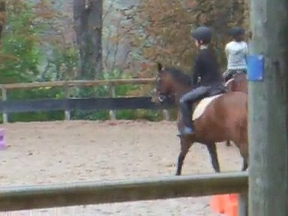 Orlane et moi , travail pour avoir un cheval tendu