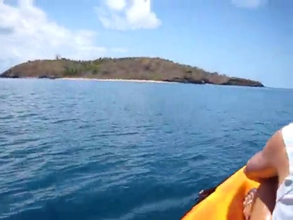 jimbani 54