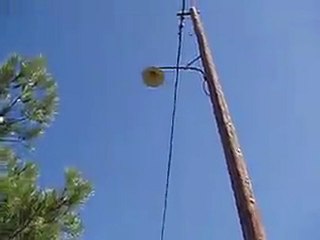 Ο δρόμος με τις... πεύκες, 28/2/2010