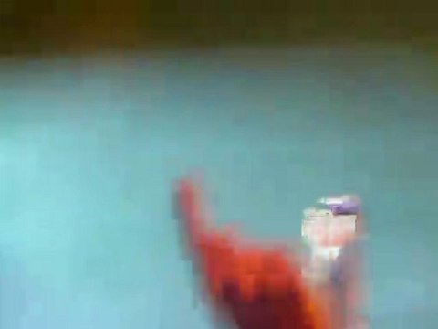 INDOCHINE 15 sept 2010 à Bercy