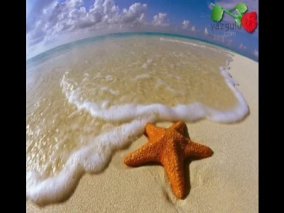 Ömer KÖROĞLU - Bir ayrılığın anatomisi