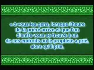 QU_EST CE QUE LA SUNNA  par le sheikh al albany.mp4