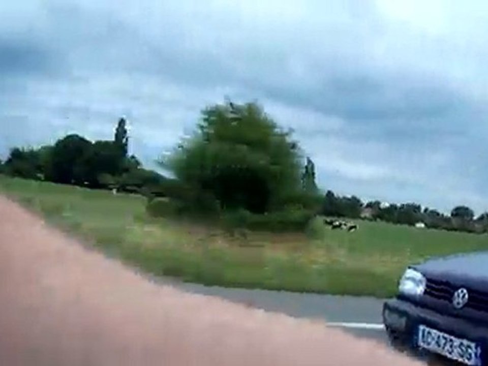 fiesta turbo vs vr6 reprog ligne