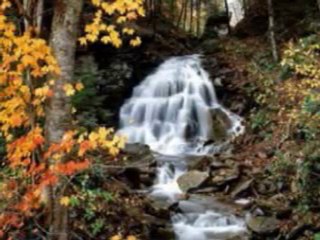 Suzidil peşrev  (Gülsen Varol)