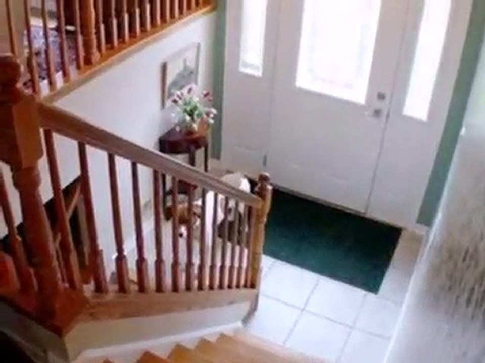 Homes for Sale - 1015 Aimtree Pl - Schaumburg, IL 60194 - Co