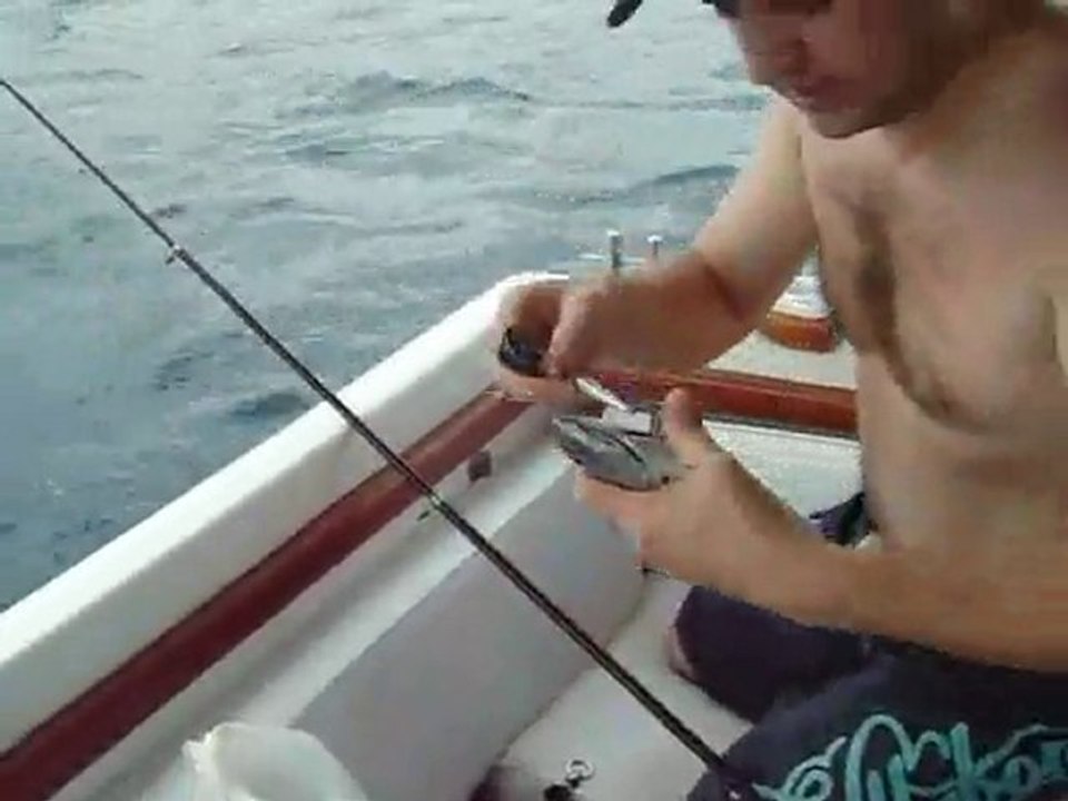 2 ekim 2010 yazılı orkinos