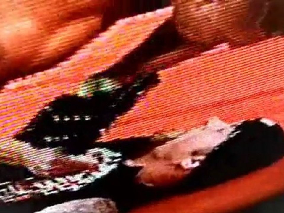 NM 2003 Intro