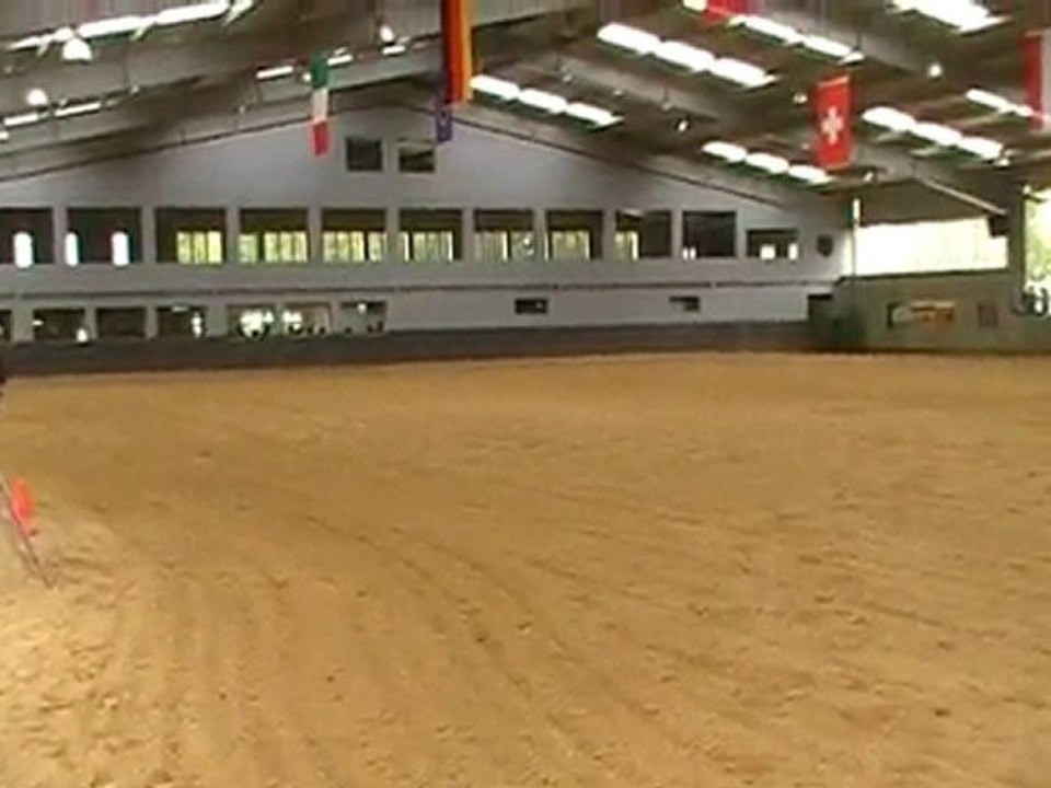 championat de france de reinning 2010