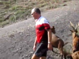 Sortie des biquettes