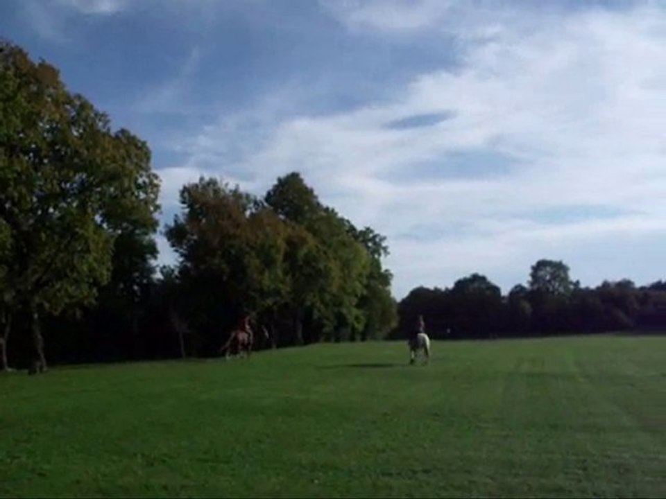 SansTitre_0001