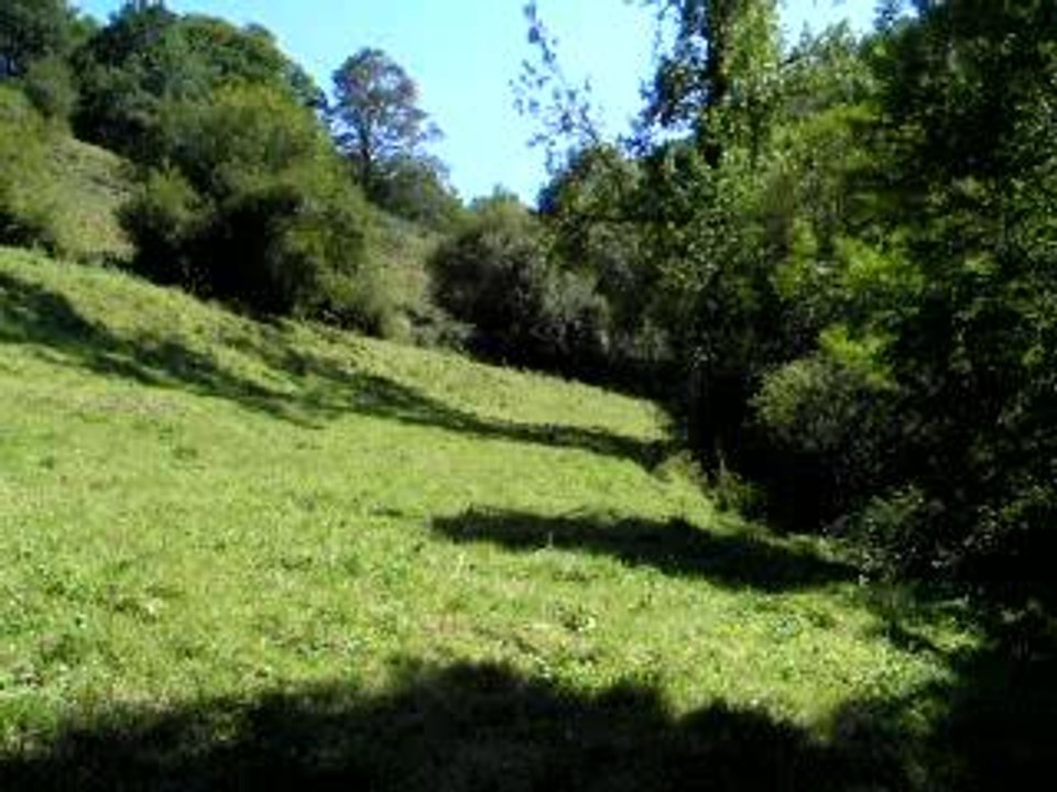 El paseillo