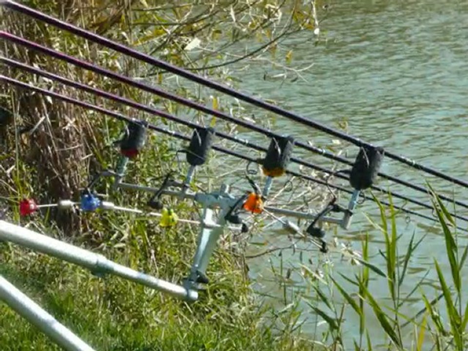 Peche de la carpe