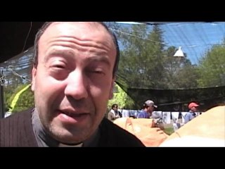 Padre Marcelo. Cristo de la Hermandad