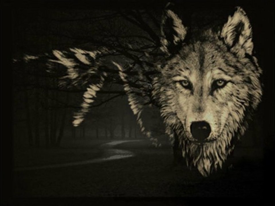 Werewolf Eclipse Hijo De La Luna