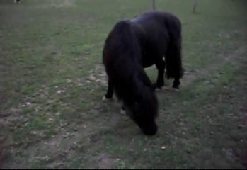 Ambiance calme retour de balade. Où va le temps il est ici.