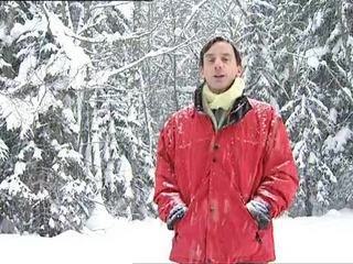 Claude Vidal : Paysages de forêts