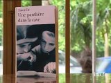 Amos Oz : Une panthère dans la cave