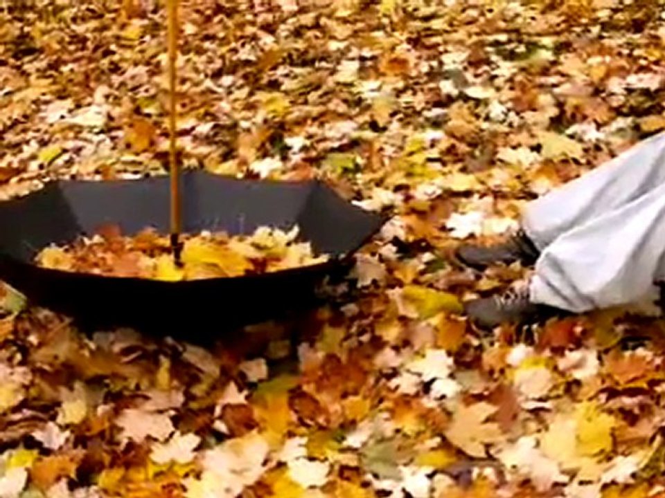 ZERRİN ÖZER-KAR TANESİ