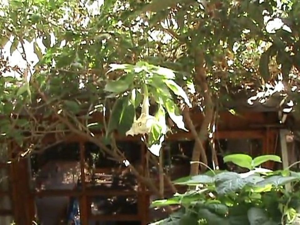 Antalya Doğa - Antalya Nature