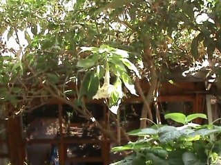 Antalya Doğa - Antalya Nature