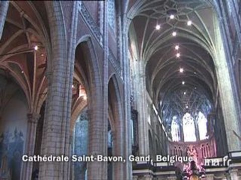 Dirk de Vos : Les primitifs flamands