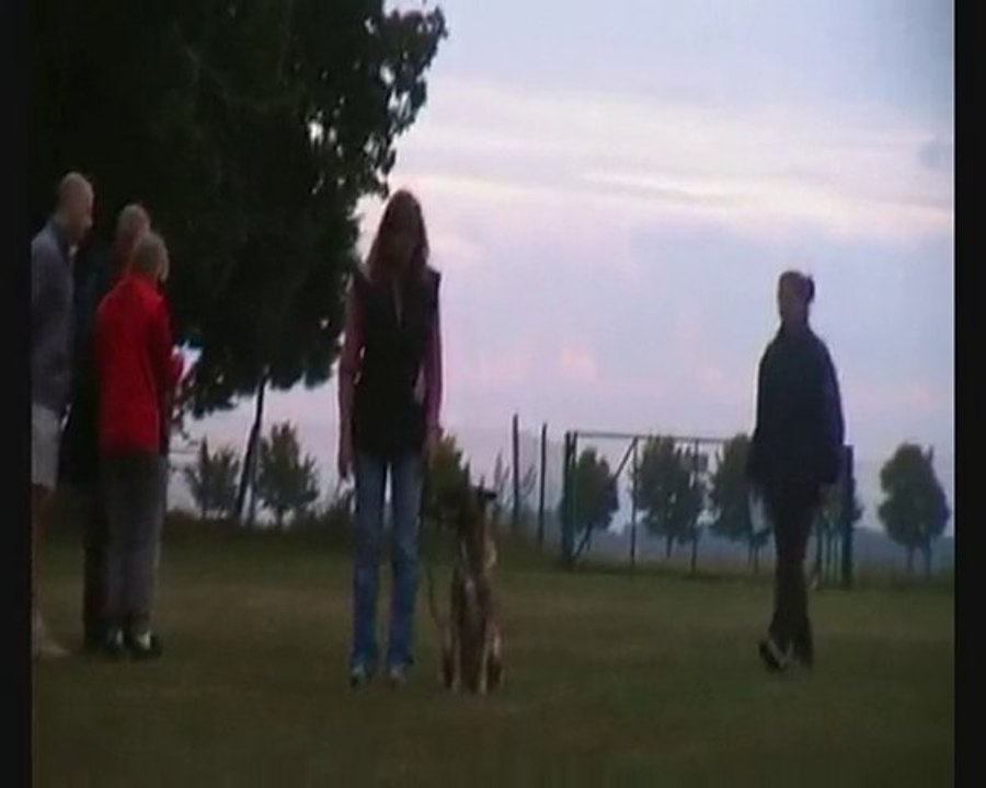 Brevet d'obé a ément